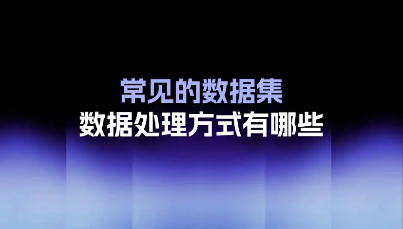 常见的数据集数据处理方式有哪些?