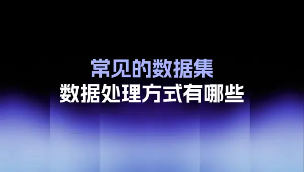 常见的数据集数据处理方式有哪些？