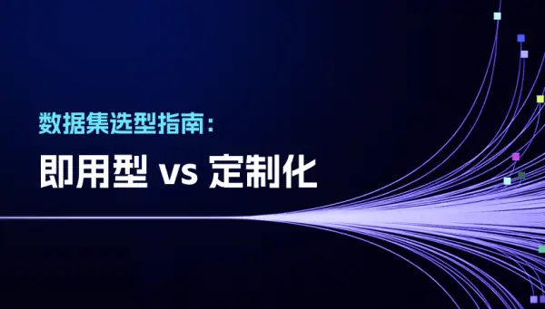 数据集选型指南：即用型 vs 定制化，哪种更适合你的业务？