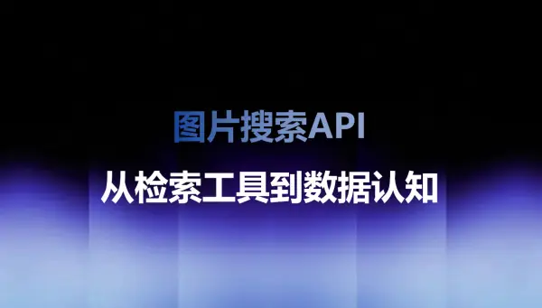 图片搜索API：从检索工具到数据认知